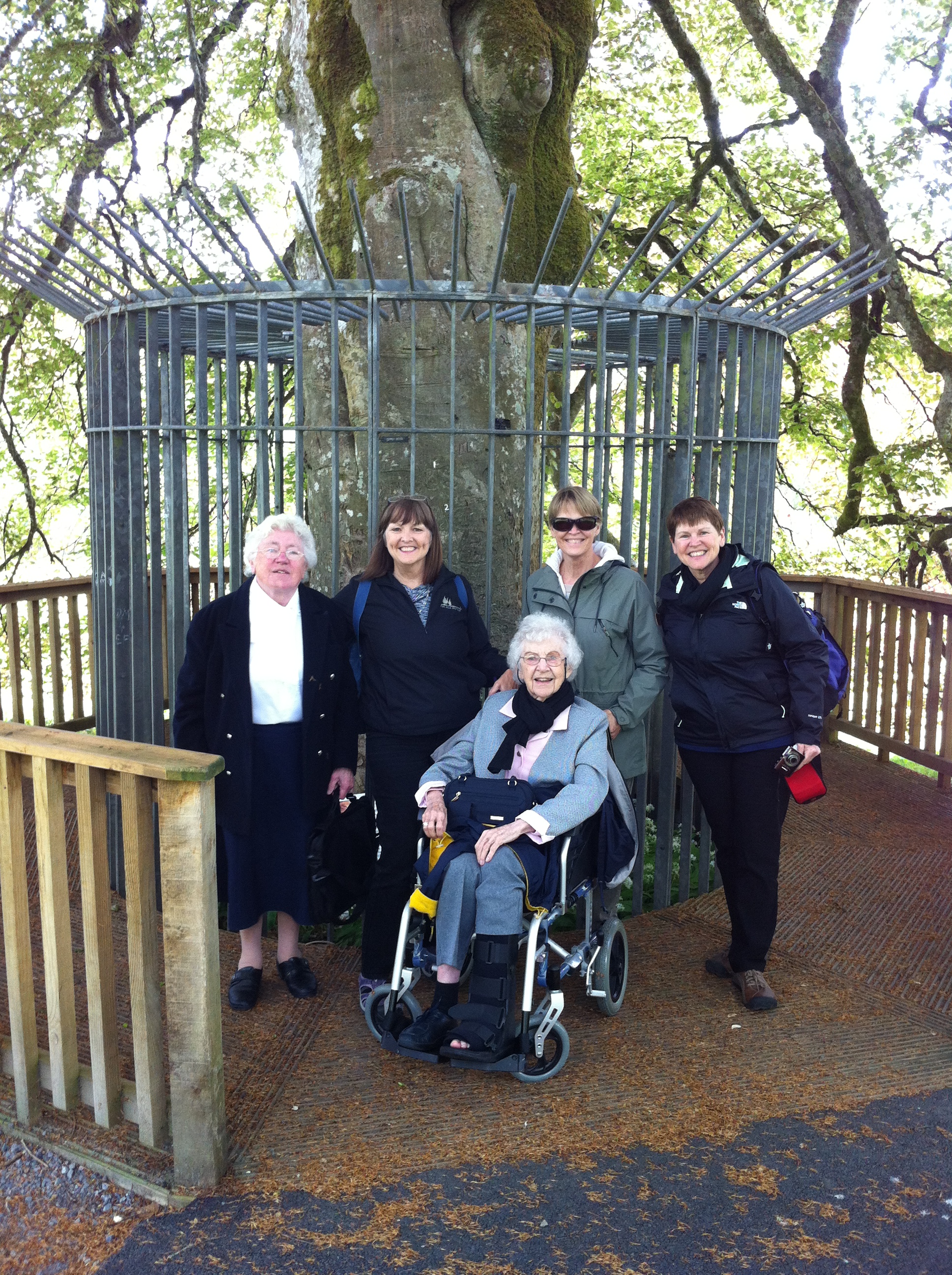 Sister DeLoudes Fahy, Martha Clark, Sara Burrus, Molly Daniel and Roberta Clark (in front) at the Autograph Tree in Coole Park. Photo by Annis Householder.